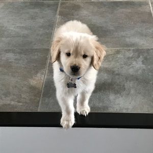 Meet your Posher, Sherry